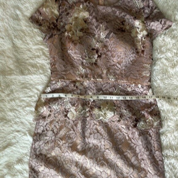 JS Collections Peplin Embroidered Lace Gown - Picture 6 of 13